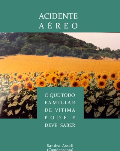 ACIDENTE AÉREO –