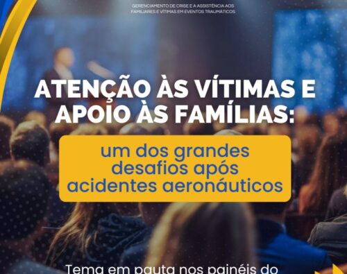 Como estruturar fluxos eficientes de assistência às vítimas e familiares em acidentes aéreos?